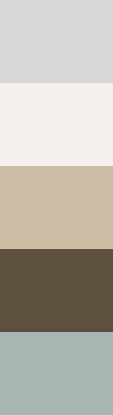 Paleta de colores — Proyecto M.R.