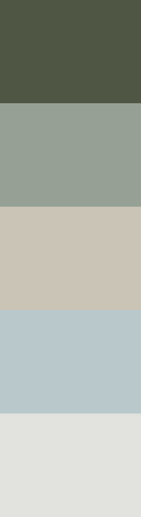 Paleta de colores — Proyecto N.M.